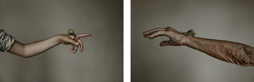 Entroterra Intangibile - Dittico